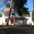 Apartmanok A Tenger Mellett Verunic, Dugi Otok - 15209 Verunić